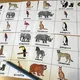 Bingo - ANIMALS (ručně malované) 2