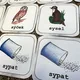 Pexeso - Vyjmenovaná slova po S 2