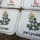 Pexeso - Vyjmenovaná slova po L 2