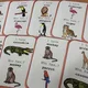 Velká sada - Wild Animals 4