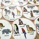 Velká sada - Wild Animals 6