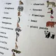 Bingo - ANIMALS (ručně malované) 3