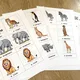 Třísložkové karty - Wild Animals 4