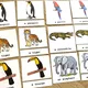 Velká sada - Wild Animals 10
