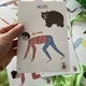 Lesní zvířátka - jógové kartičky 4