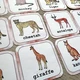 Pexeso - Wild Animals 3