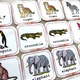 Pexeso - Wild Animals 5