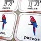 Pexeso - Wild Animals 7