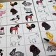 Bingo - Farmářská zvířata 3