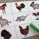 Bingo - Farmářská zvířata 2