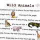 Picture reading - Wild Animals 4