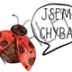 JSEM CHYBA - téma LOUKA 5