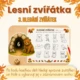 Lesní zvířátka - hry s kostkou 4