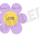 NAROZENINOVNÍK - téma LOUKA 2