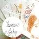 SEZÓNNÍ TAHY – Set 4 sad tahů (jaro, léto, podzim, zima) 4