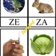 Ilustrované slabiky s písmenem Z, z, malým psacím z 2