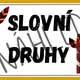 SLOVNÍ DRUHY - téma INDIÁNI 5