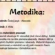 Stonožky - Řazení písmen podle abecedy 4