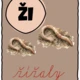 Výzdoba třídy - Tvrdé a měkké souhlásky - les 4