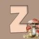 Výzdoba třídy - Vyjmenovaná slova - Les 4