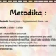 Výzdoba třídy - Vyjmenovaná slova - Les 2