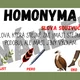 SYNONYMA, ANTONYMA, HOMONYMA - téma INDIÁNI 2