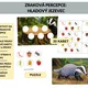Zraková percepce: Hladový jezevec 2