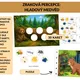 Zraková percepce: Hladový medvěd 2