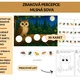 Zraková percepce: Mlsná sova 2