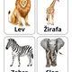 Zvířata ze zoo - kartičky, zvířecí posloupnost 3