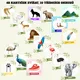 Zvířata v ZOO - variabilní sada aktivit 3