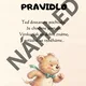 TŘÍDNÍ PRAVIDLA - MEDVÍDCI 3