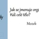 Riskuj! kožní, smyslová a nervová soustava 3