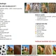 Párování textur - FARMA (domácí a hospodářská zvířata) 2