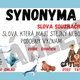 SYNONYMA, ANTONYMA, HOMONYMA - téma POLÁRNÍ SVĚT 2
