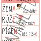 VZORY PODSTATNÝCH JMEN - přehledové plakáty 2