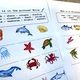 Sea Animals - pracovní listy 7