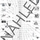Summer Crossword & Word Search Pack 5