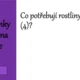 Riskuj! ekosystém louka 4
