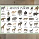 Africká zvířata - Já mám, kdo má? 4