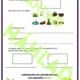 🐜 Hmyz – pracovní list a výuková aktivita na jednu vyučovací hodinu (pozorování v přírodě) 3
