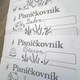 Písničkovník, zpětná vazba, sebehodnocení HV 4