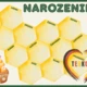 NAROZENINOVNÍK - Včelí úl | 1. - 6. třída 2