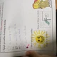 Literární pojmy 3