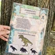 Venkovní stezka - Dinosauři 6