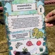 Venkovní stezka - Dinosauři 8