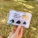 Cestohrátky - Co je správně? 5