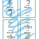 SEA vocabulary - hry a aktivity 7