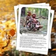 Zajímavosti na nástěnku: Světové dny – listopad a prosinec 4