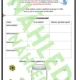🧪 Vypěstuj si vlastní plíseň | Zábavný experiment, pracovní list a záznamový arch 4